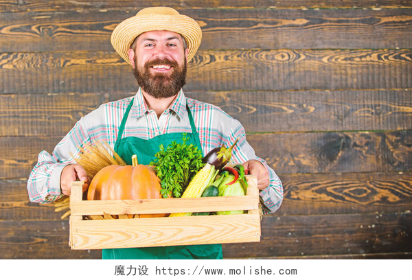 穿着围裙的农夫拿着新鲜的瓜果蔬菜男子开朗胡子农民穿围裙呈现蔬菜盒木背景。农夫低腰草帽提供新鲜蔬菜。新鲜蔬菜送货服务。新鲜有机蔬菜盒
